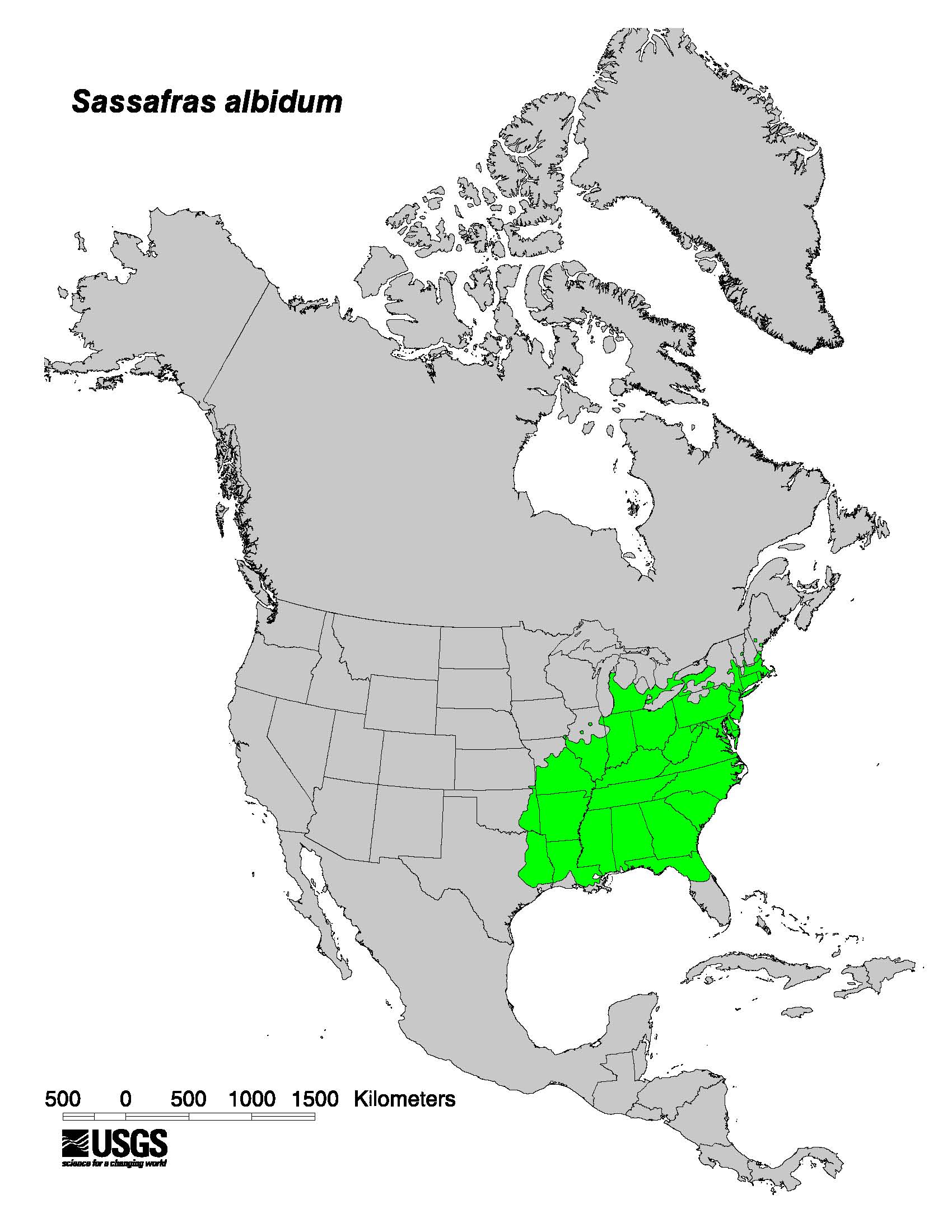 200906 Sassafras (Sassafras albidum) - USGA NA Distribution Map.jpg